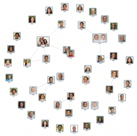 Other solutions — siloed, unlinked images